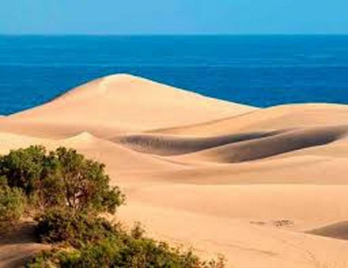 Bungalow Duna Flor Maspalomas マスパロマス エクステリア 写真